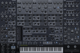 Equilibrium for Poly-Ana